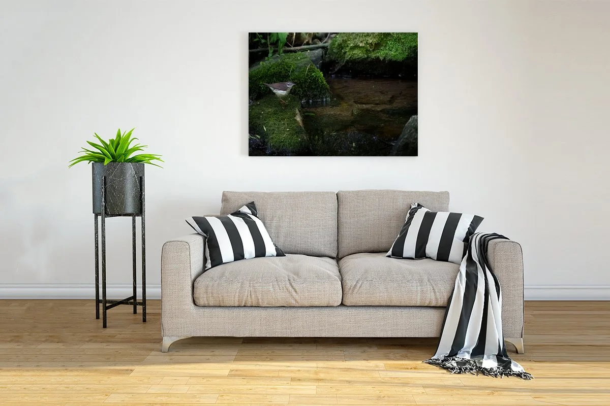 Interior-Wall-Picture-Frame-Mockup copy.jpg