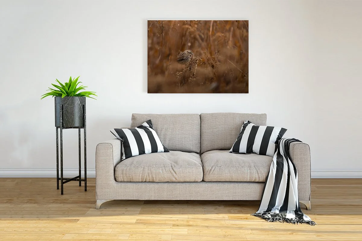 Interior-Wall-Picture-Frame-Mockup copy.jpg