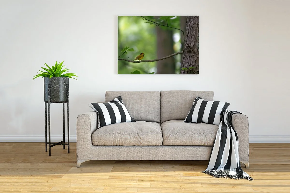 Interior-Wall-Picture-Frame-Mockup copy.jpg