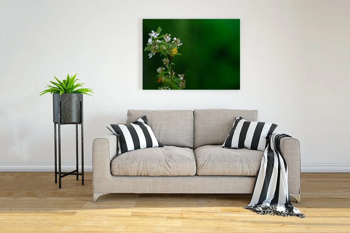 Interior-Wall-Picture-Frame-Mockup copy.jpg