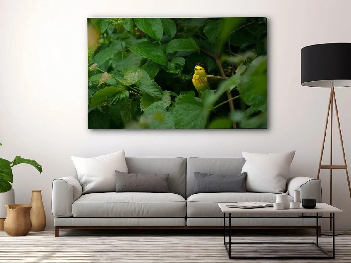 Free-Home-Interior-Horizontal-Framed-Poster-Mockup-Design copy.jpg