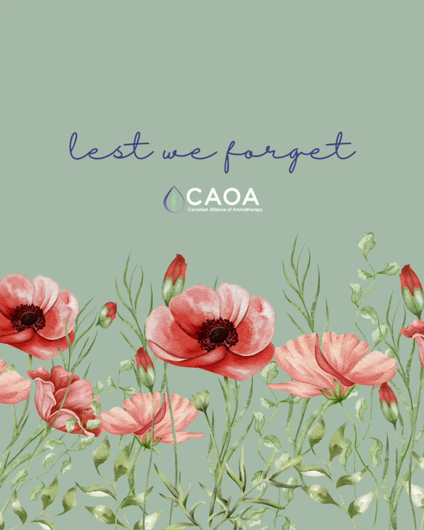 On this day, we honour all those who served and continue to serve.

Lest we forget.

#lestweforget🌹 #rememberanceday #rememberandhonor
#caoa #aromatherapy #aromatherapyeducation #continueingeducation #essentialoilresearch #essentialoils #essentialoi
