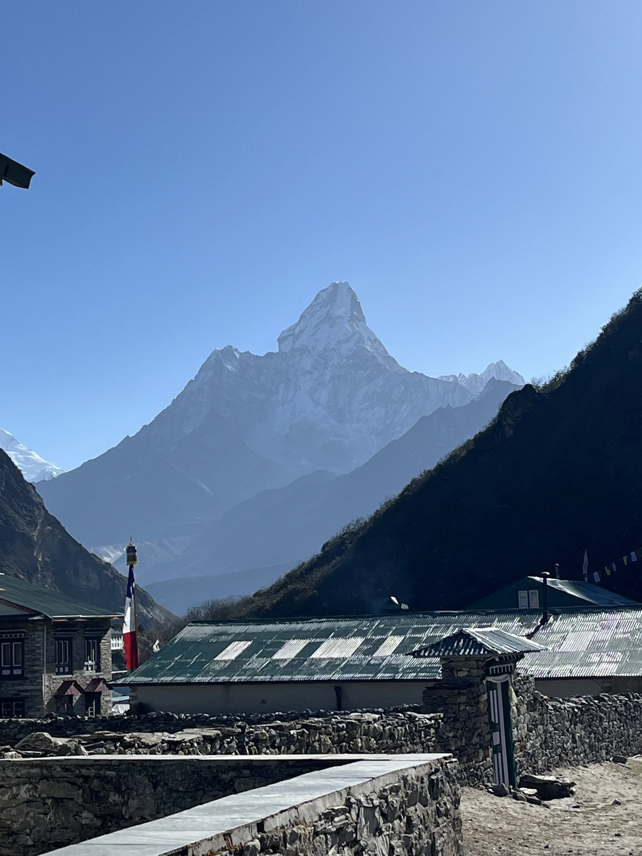 8 week training program tailored to your needs, with weekly coaching calls