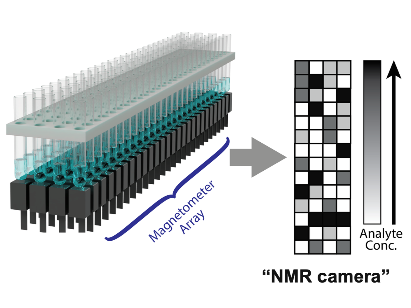 NMR camera.png