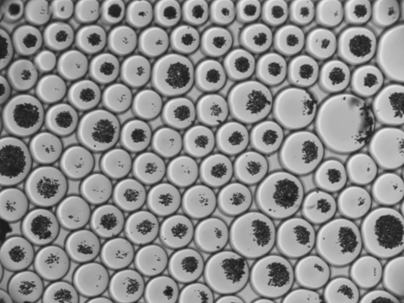 Diamonds in droplets.png