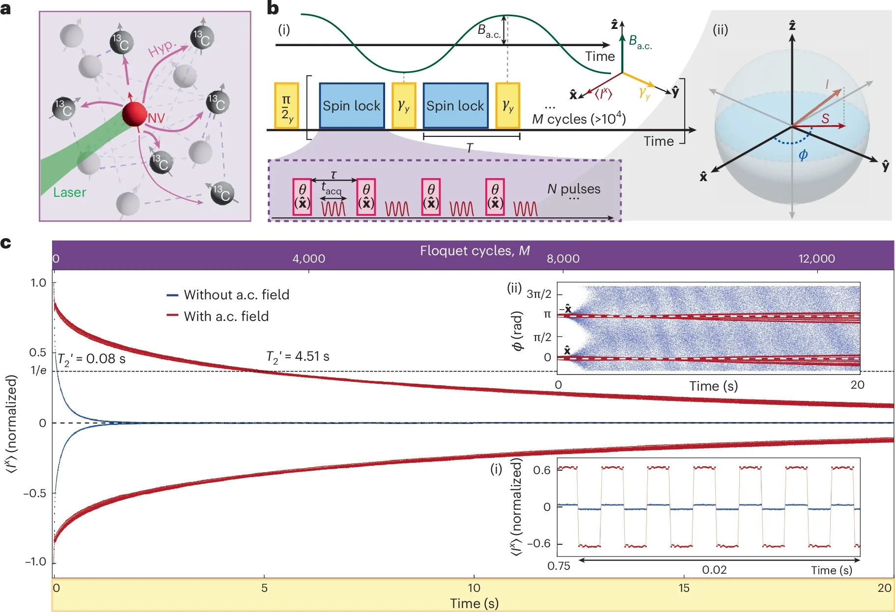 70. Discrete Time Crystal Sensing with Nuclear Spins in Diamond