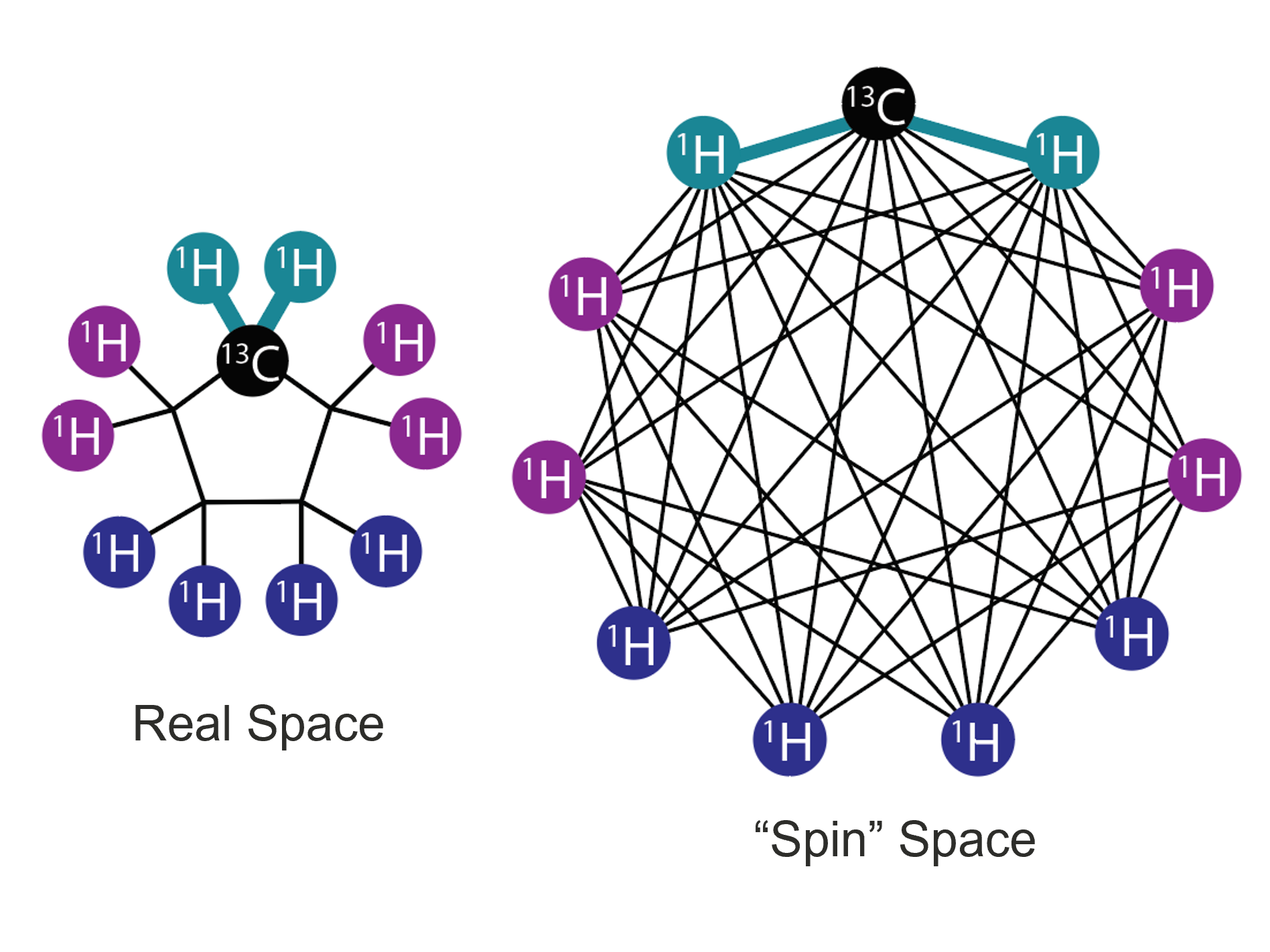 Coupling network.png
