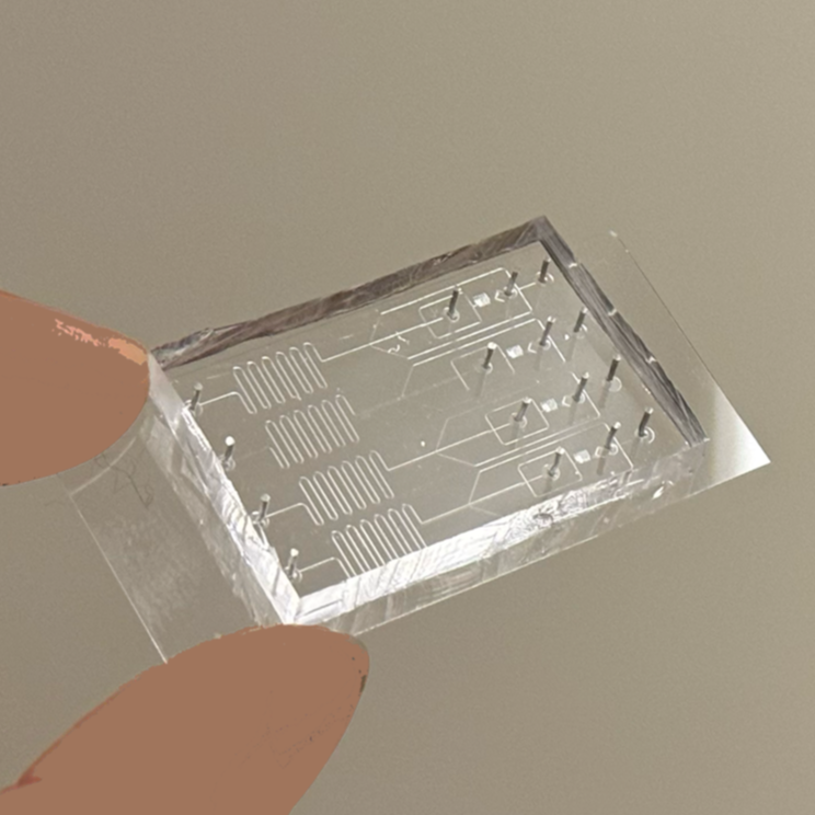 Microfluidic chip.png
