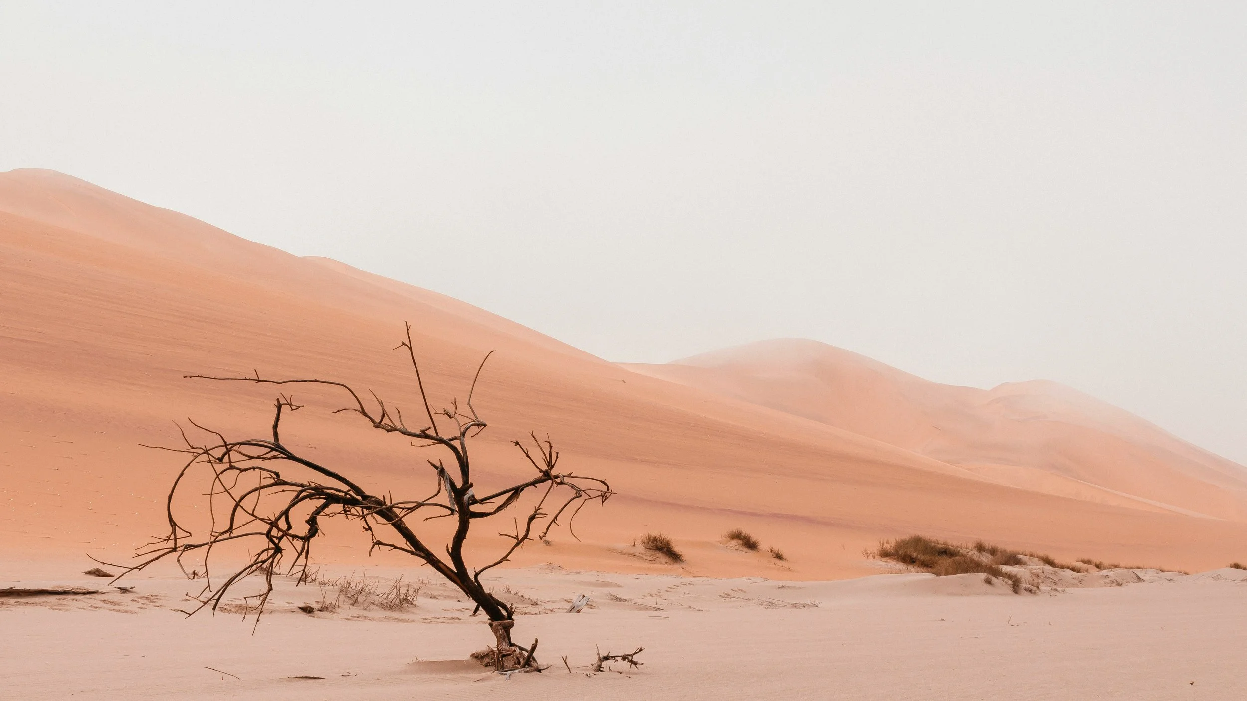 Walking Through the Valley: A look a Psalm 23