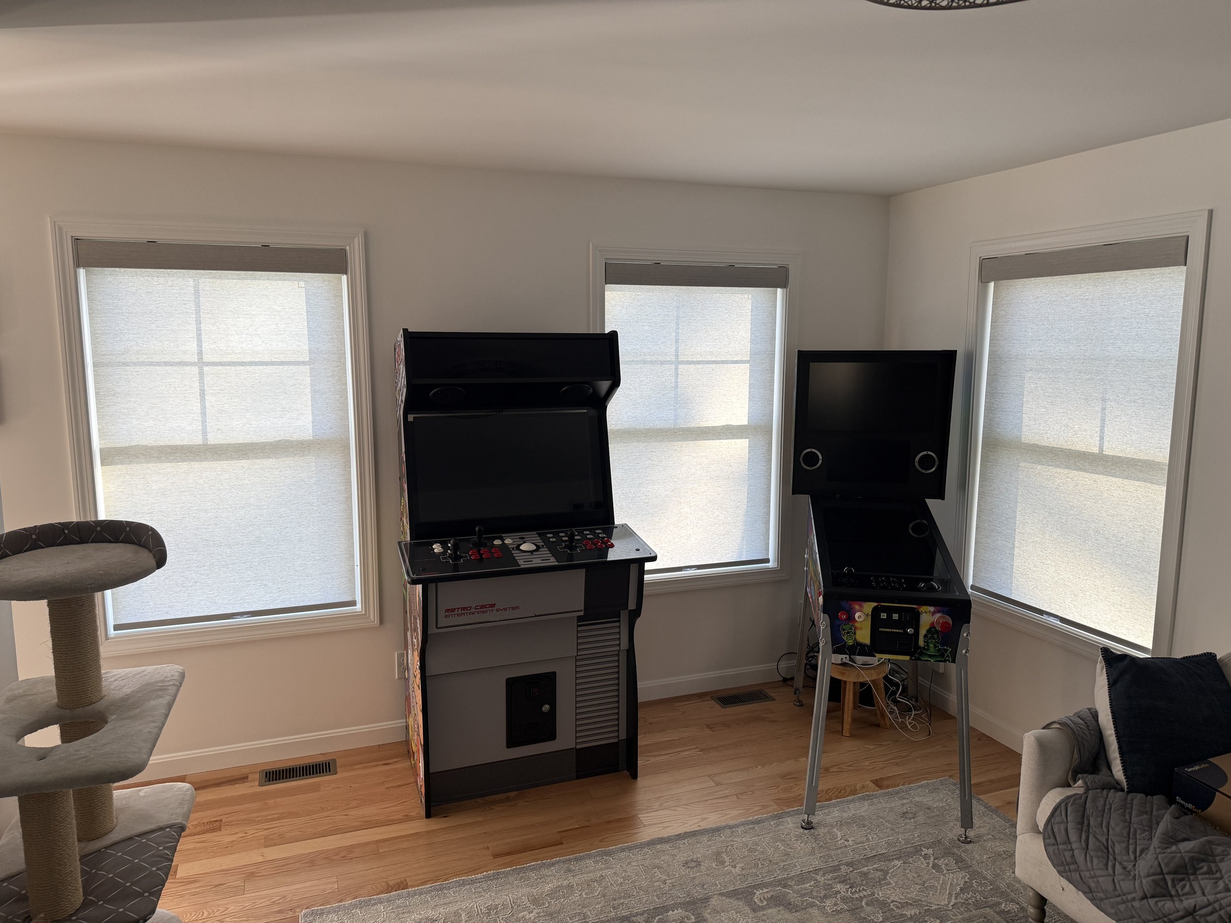 RollerShade_LivingRoom_SpaceAJ_01.JPG