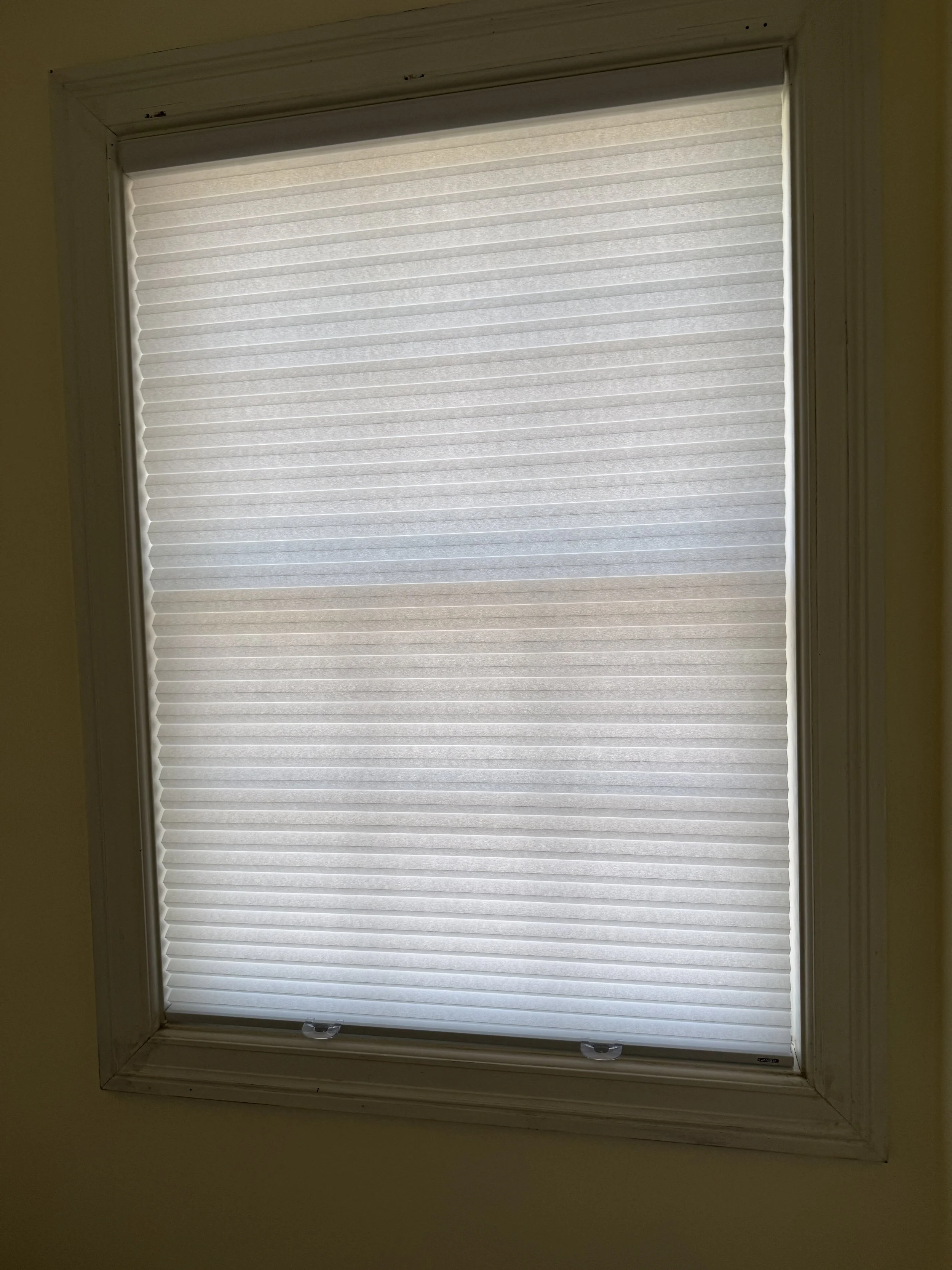 RollerShade_LargeWindow_SpaceAQ_01.JPG