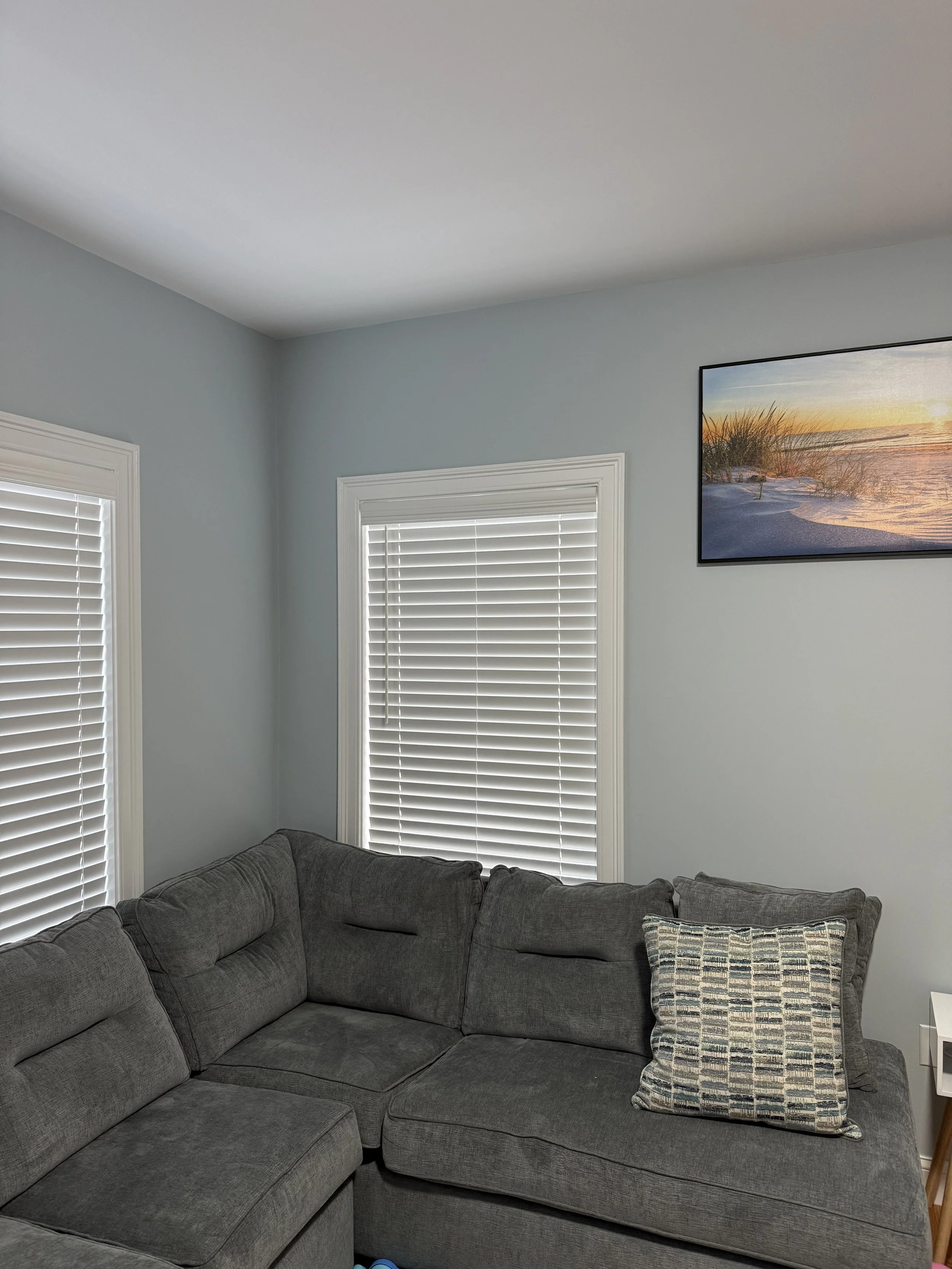 HorizontalBlinds_LivingRoom_SpaceCZ_02.JPG