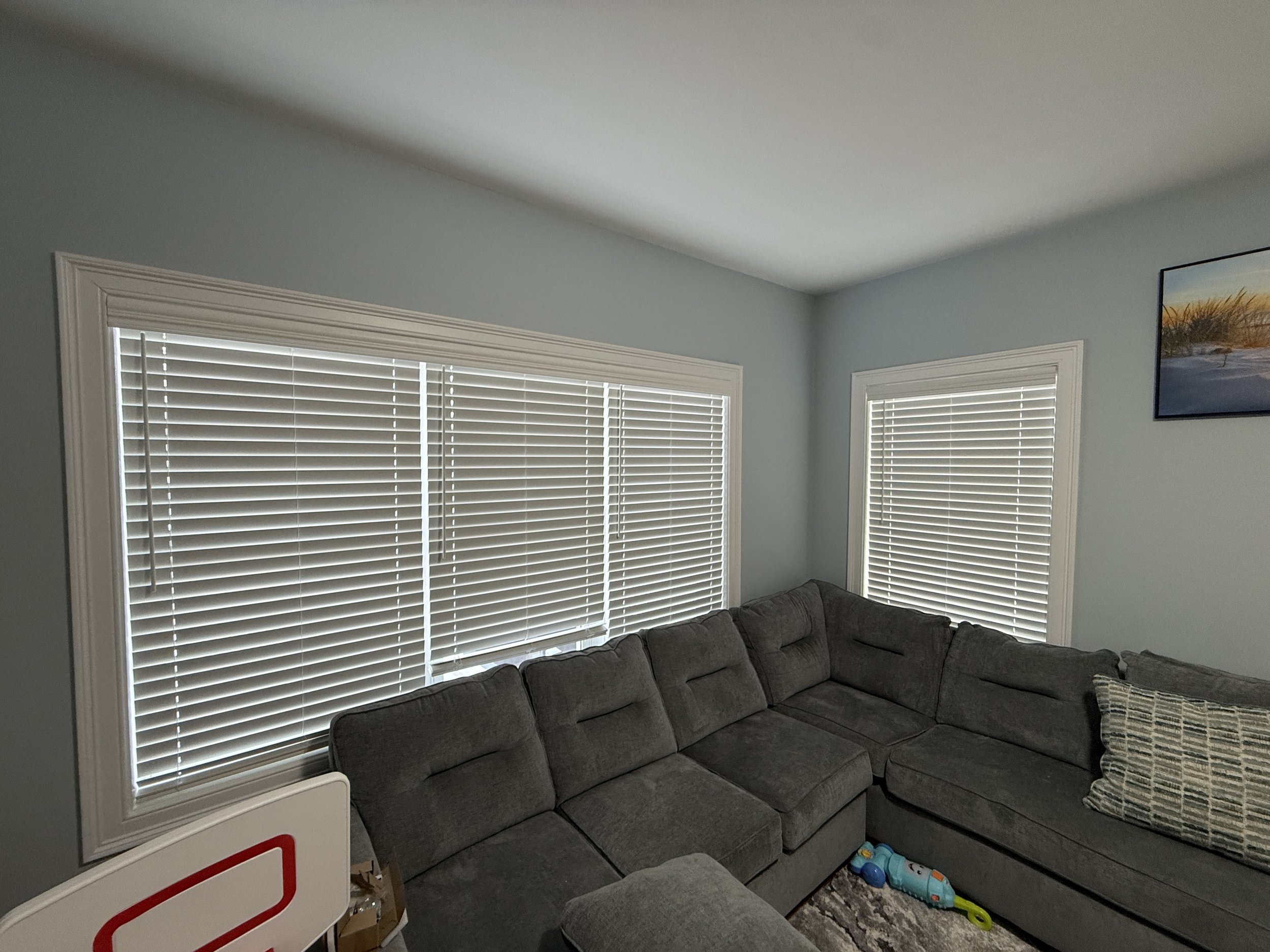 HorizontalBlinds_LivingRoom_SpaceCZ_01.JPG