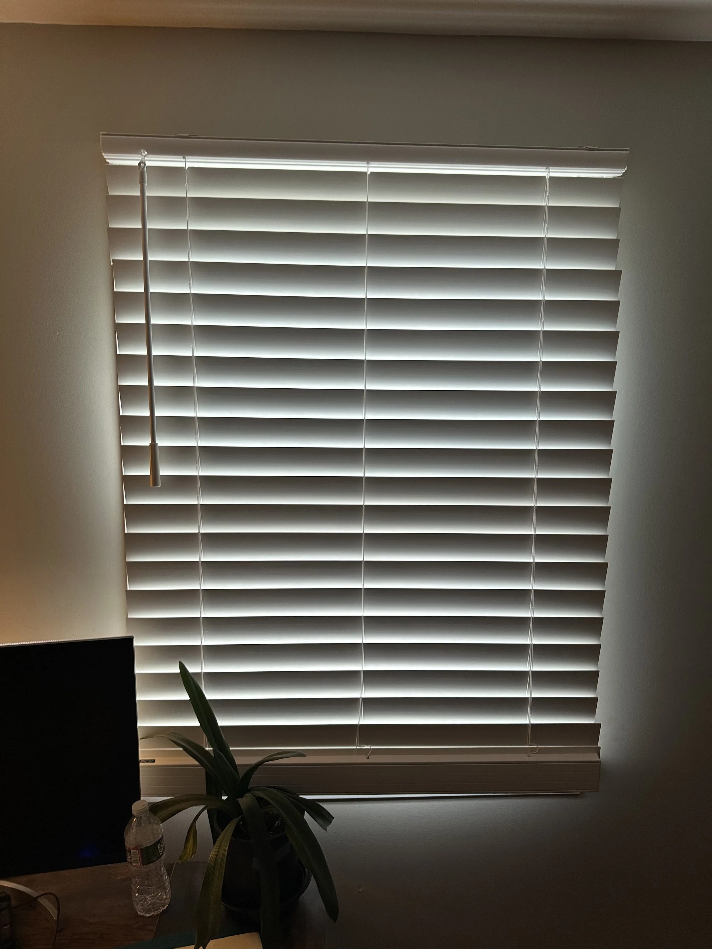 HorizontalBlinds_Office_SpaceET_04.jpg