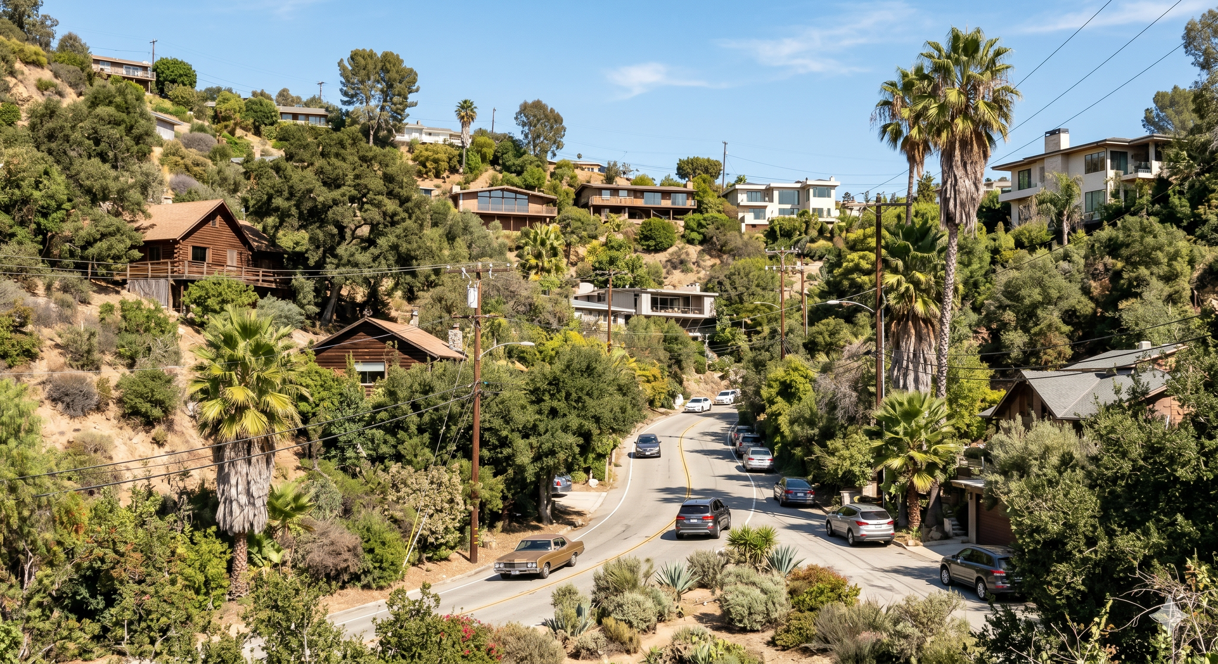 Hillside neighborhood with houses, palm trees, and cars on a winding street under a blue sky.