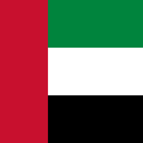 Flag_of_the_United_Arab_Emirates.svg.png