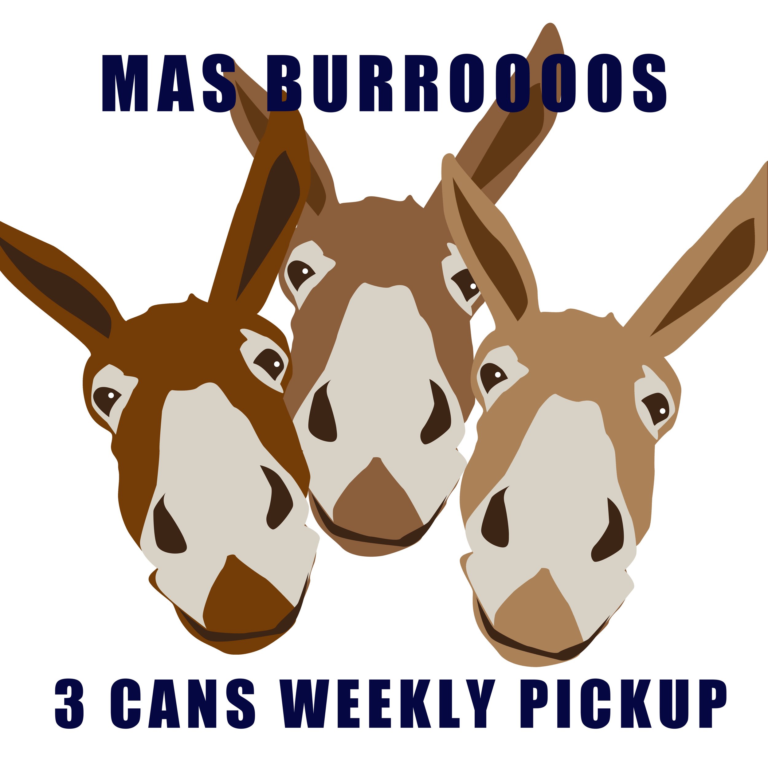 trash burro head-web-store-3 carts.jpg