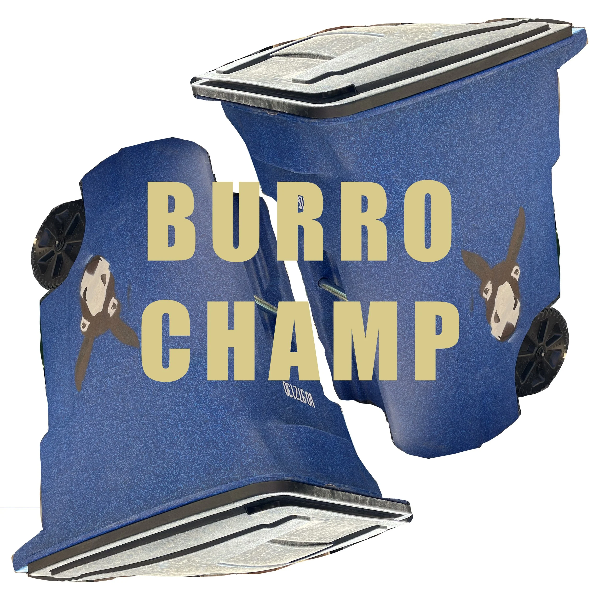 champ burro.jpg