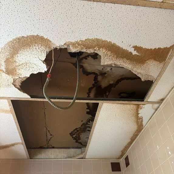 Ceiling Tile Repair NYC: Water Damage Drop Ceiling