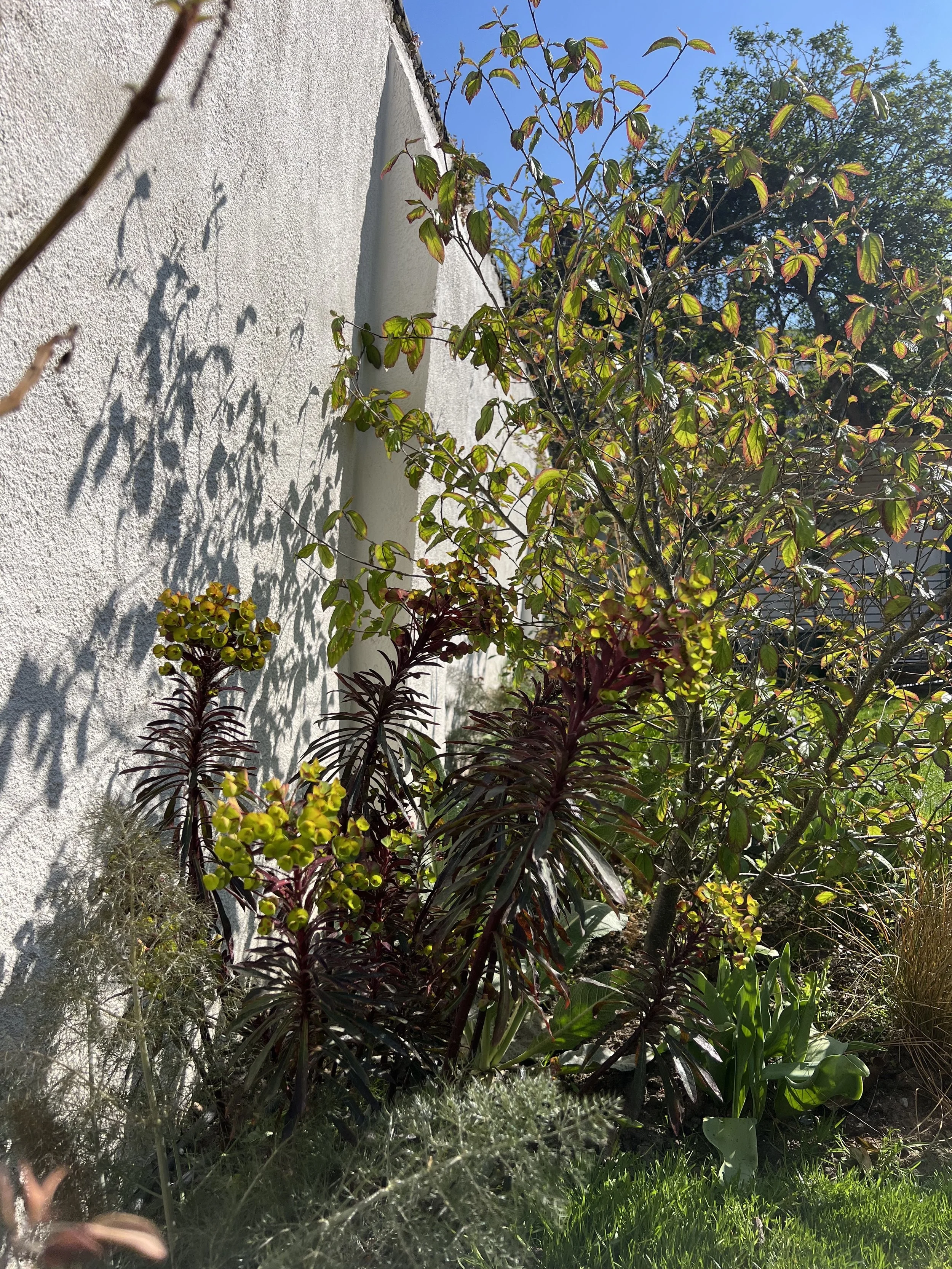 IMG_2857 2.jpeg
