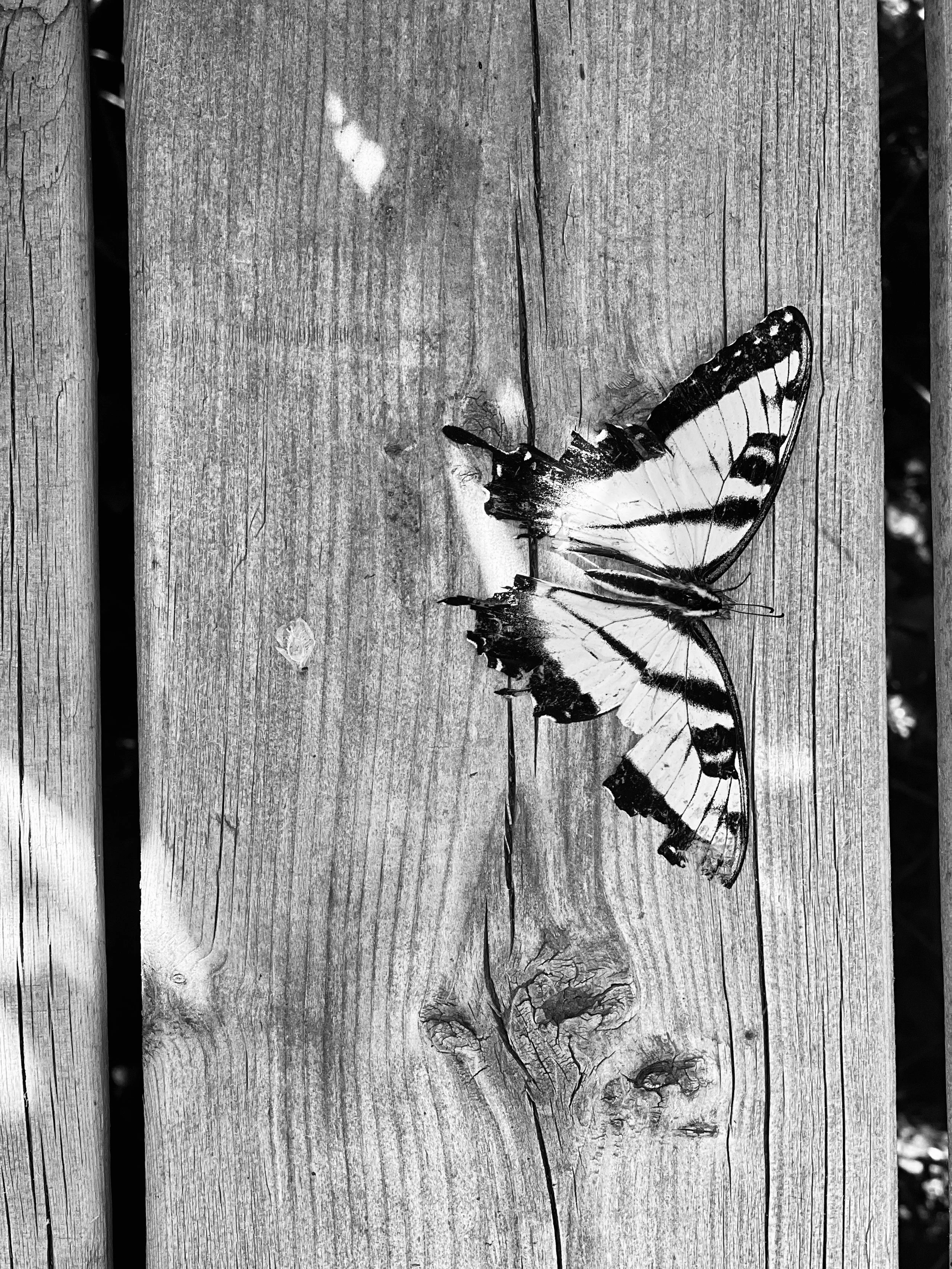 Footnote 04 — On Returning