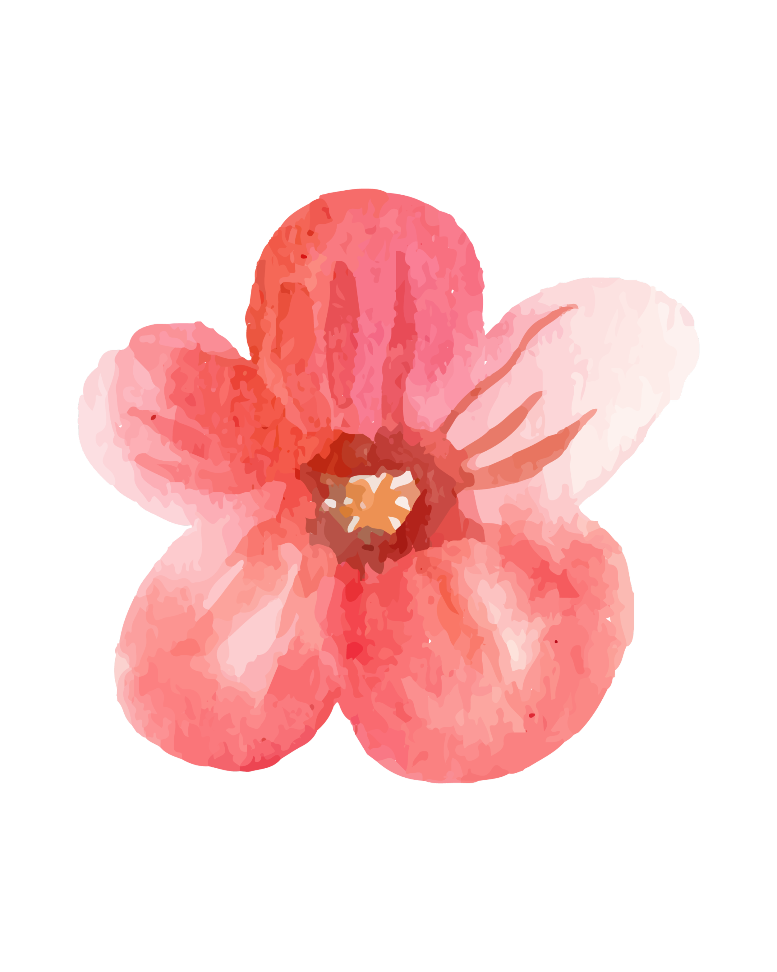 Watercolor illustration of a pink and peach flower with five petals and a yellow and brown center.