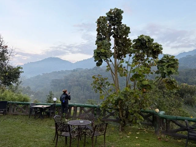 Why not choose hope?