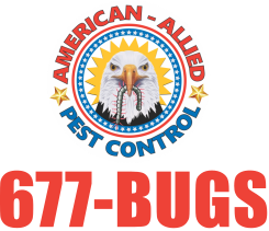 American Allied Pest Control