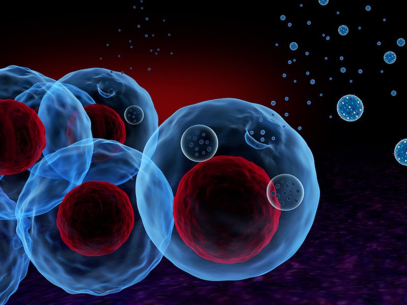 Illustration of red and blue blood cells.