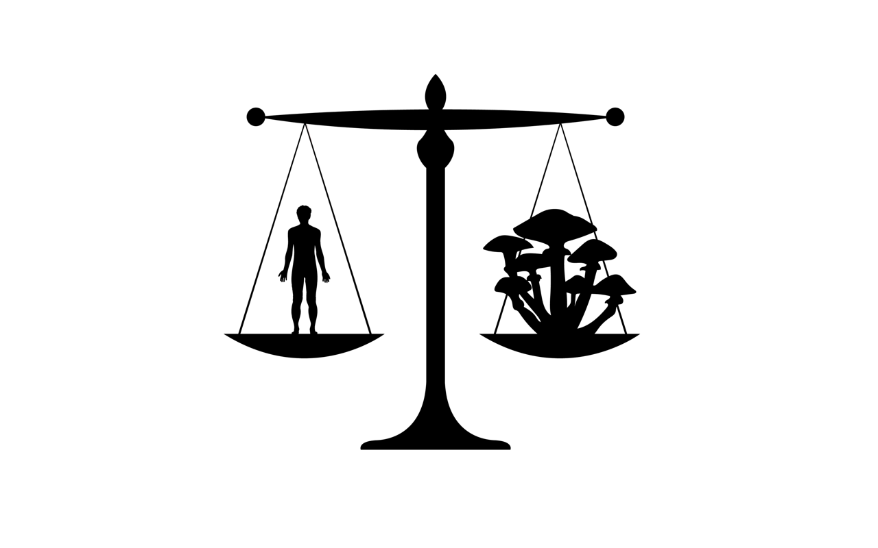 logo mycopreneur black