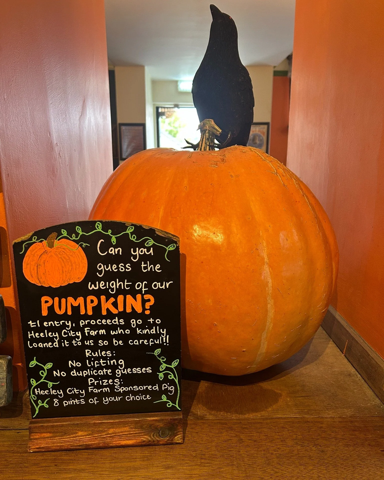 We have a little Halloween competition for you all! 

@heeleycityfarm have generously loaned us this big boy for you to all guess the weight! If you guess correctly, you&rsquo;ll win a sponsorship for a pig at Heeley City Farm and 8 drinks tokens fro