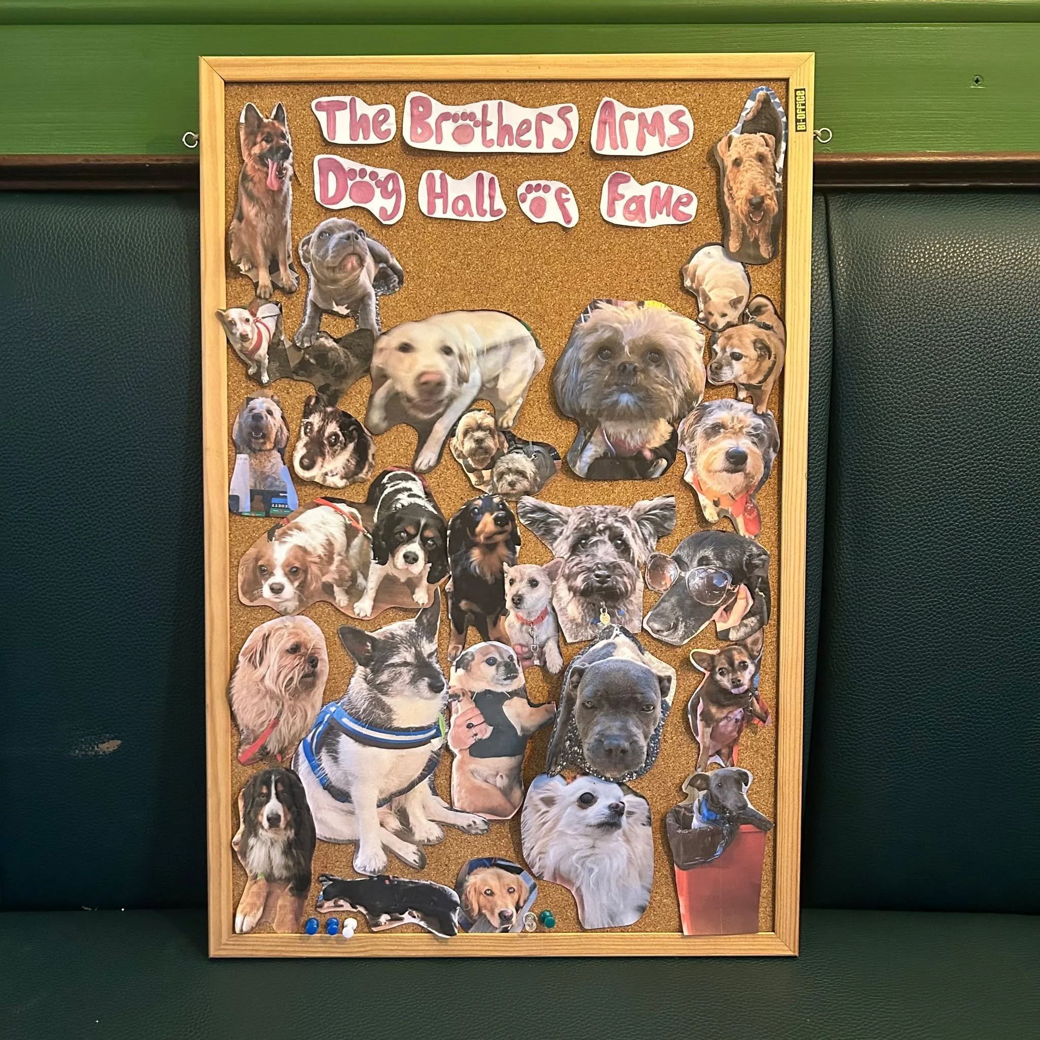 Our four legged friends are very important to us at The Brothers Arms, so much so that we&rsquo;ve made a Dog Hall of Fame! Comment on this post photos of your furry friends at the pub and we&rsquo;ll get them on the board!