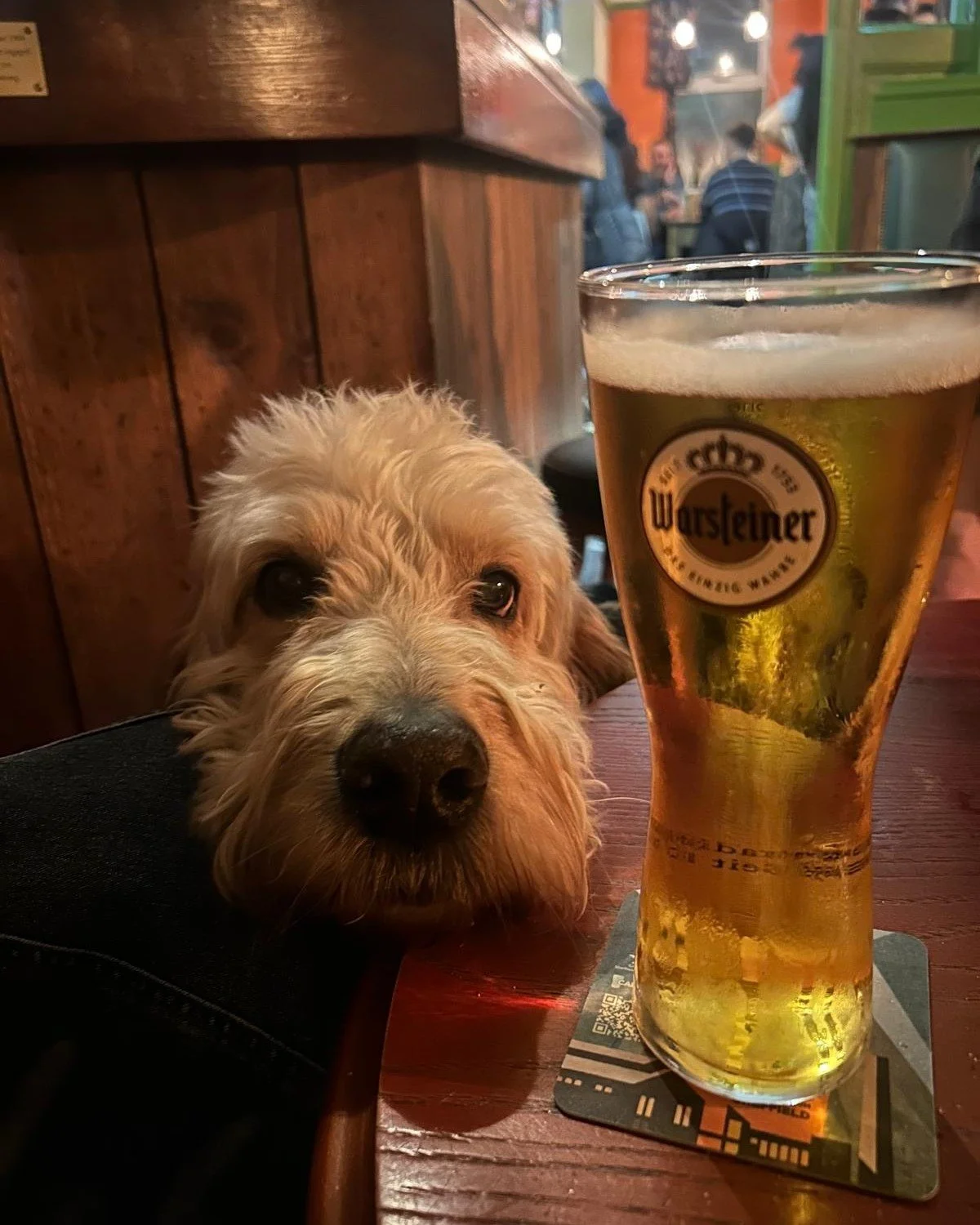 Just a lil reminder we are dog friendly! So you can enjoy pints with your pups! 🐾🍻