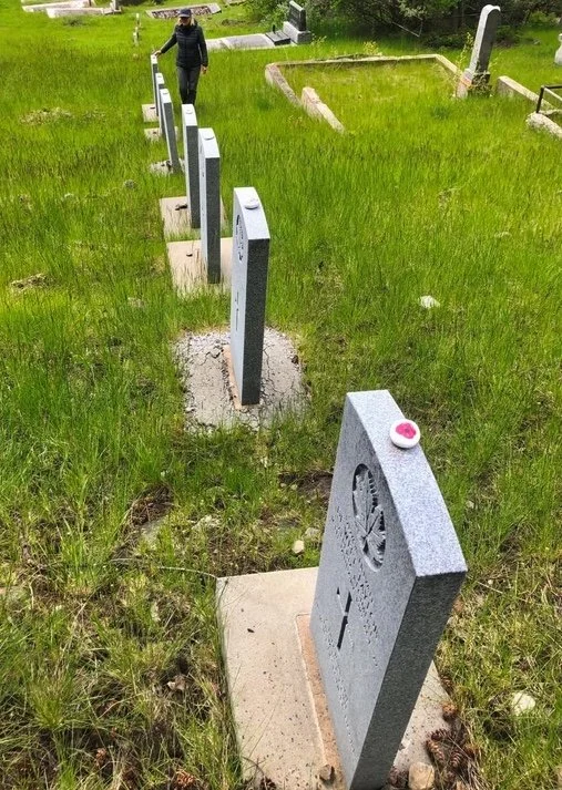 Row of WW1 military markers with poppy • John Kinnear photo