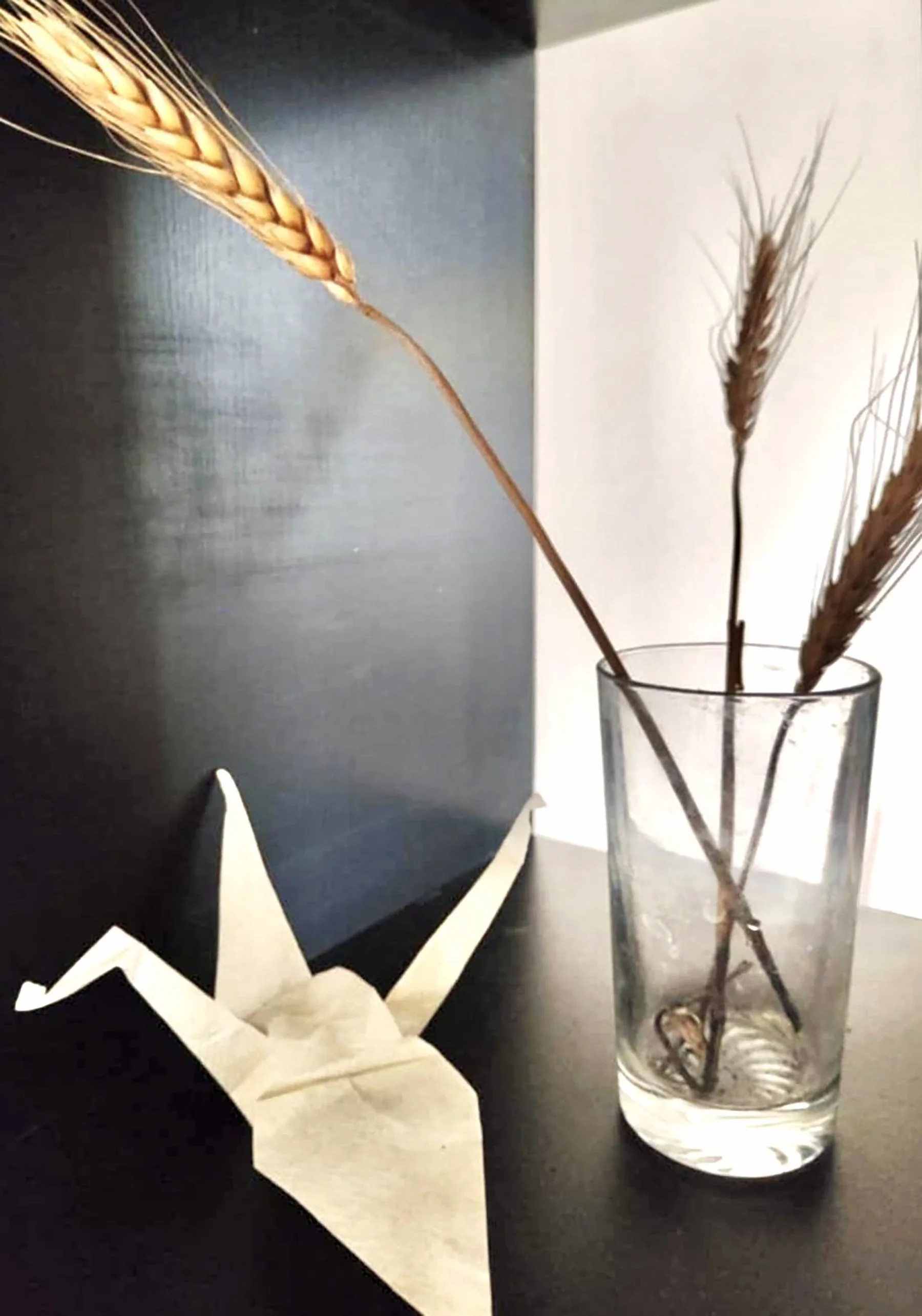  My vase of shafts of wheat and a paper crane as a symbol of peace, kindness, prosperity, and hope 