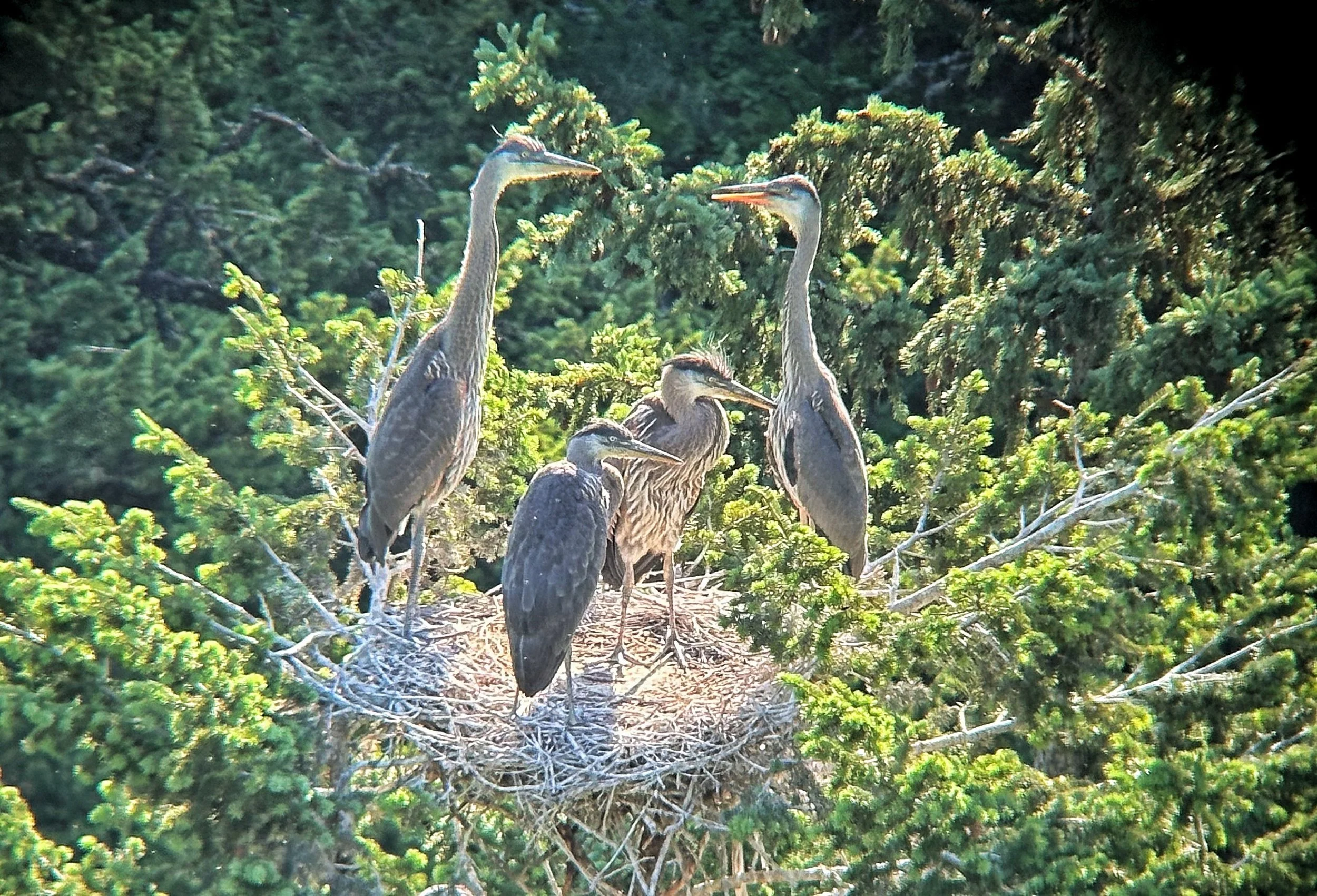 Naturalist Brian Keating photo at Byron