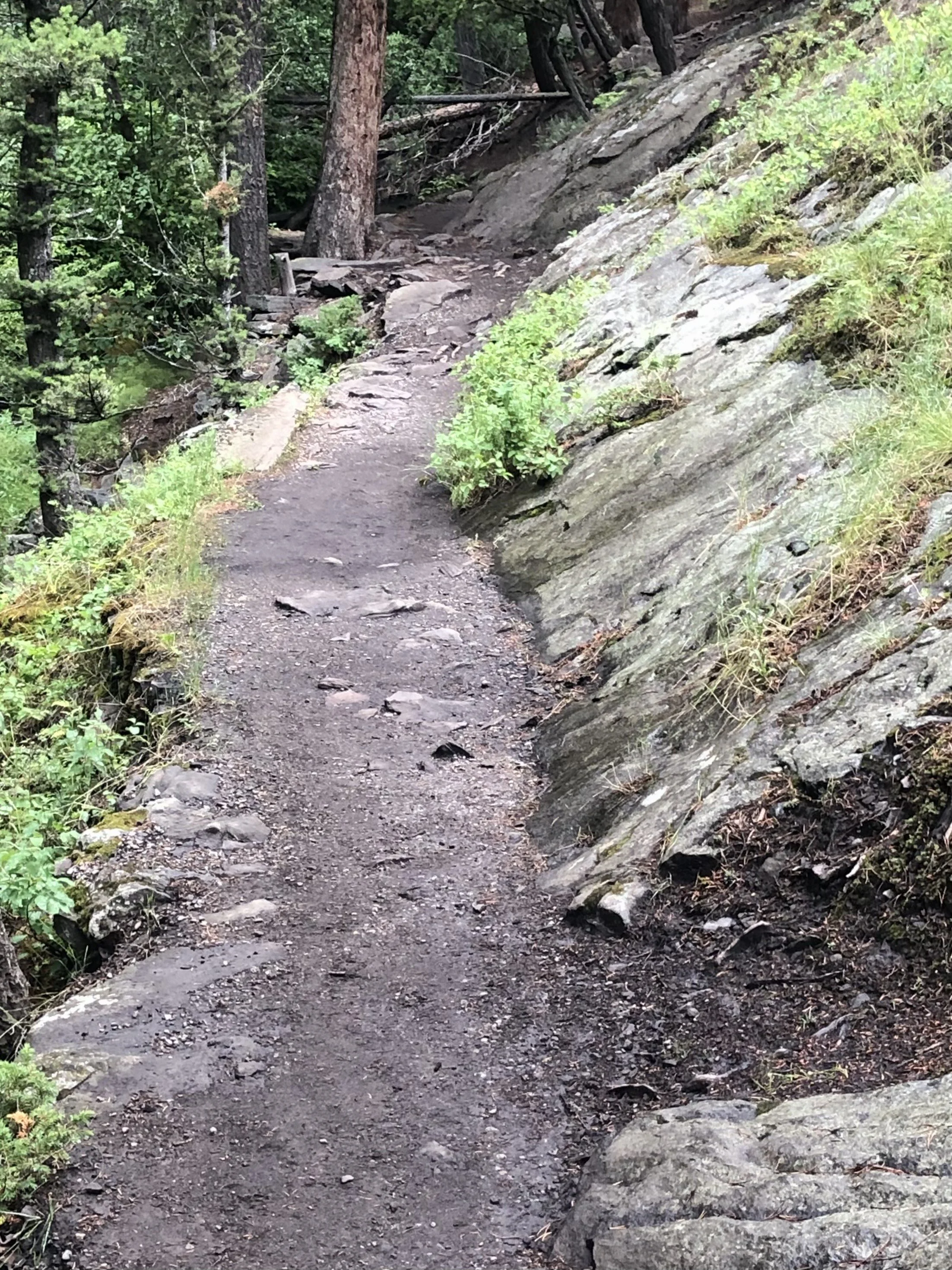 The solid rock east side of Nez Perce