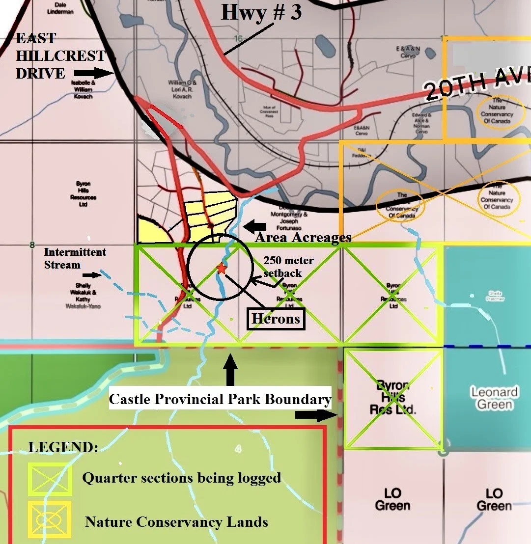 Overview map of logging area