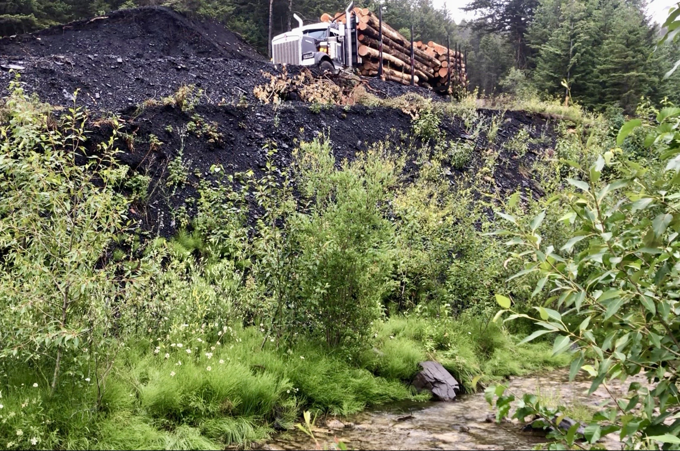 Logs being hauled out of SE-9-7-3W5 near Byron 
