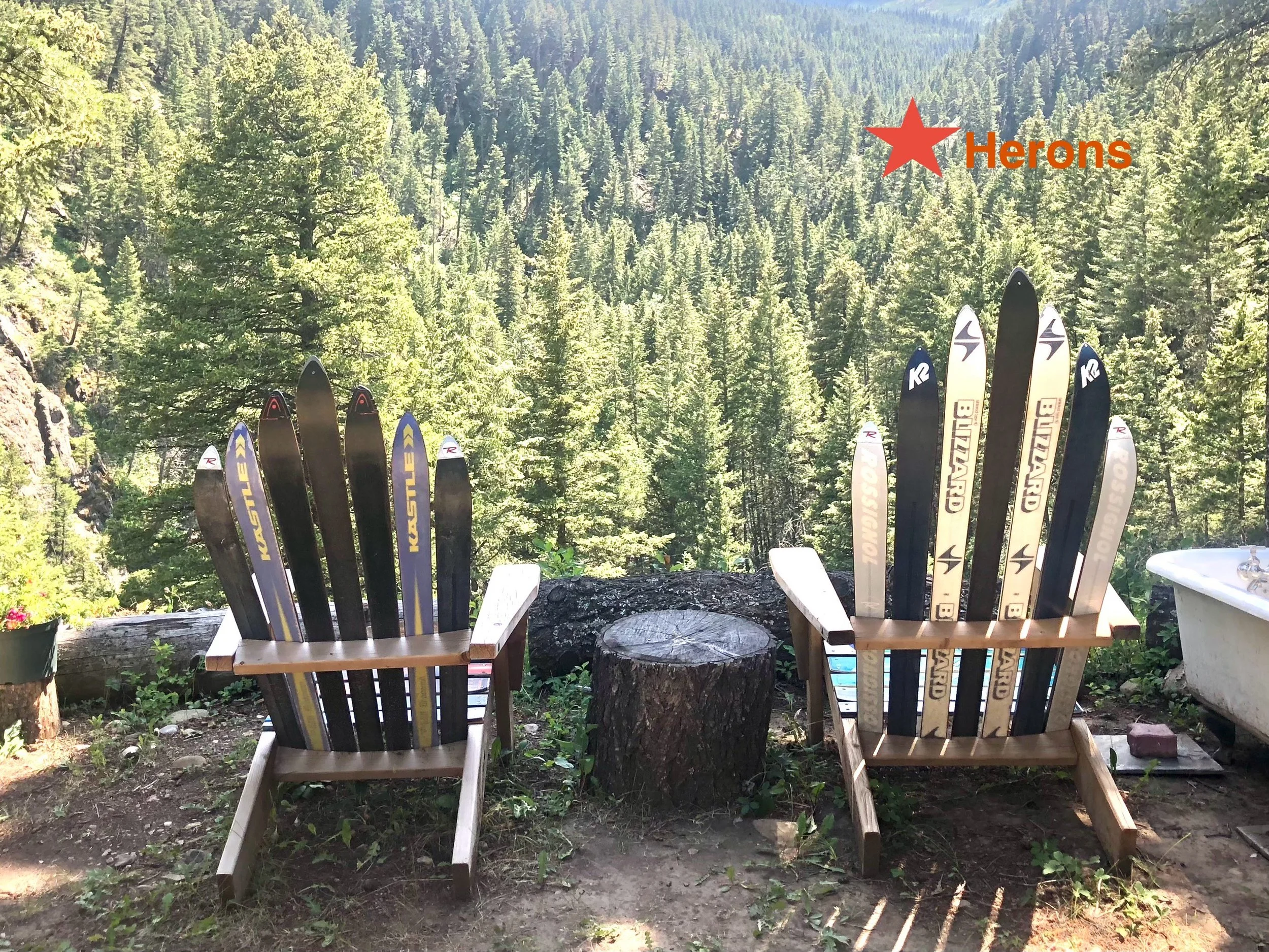 Million dollar view of the heronry