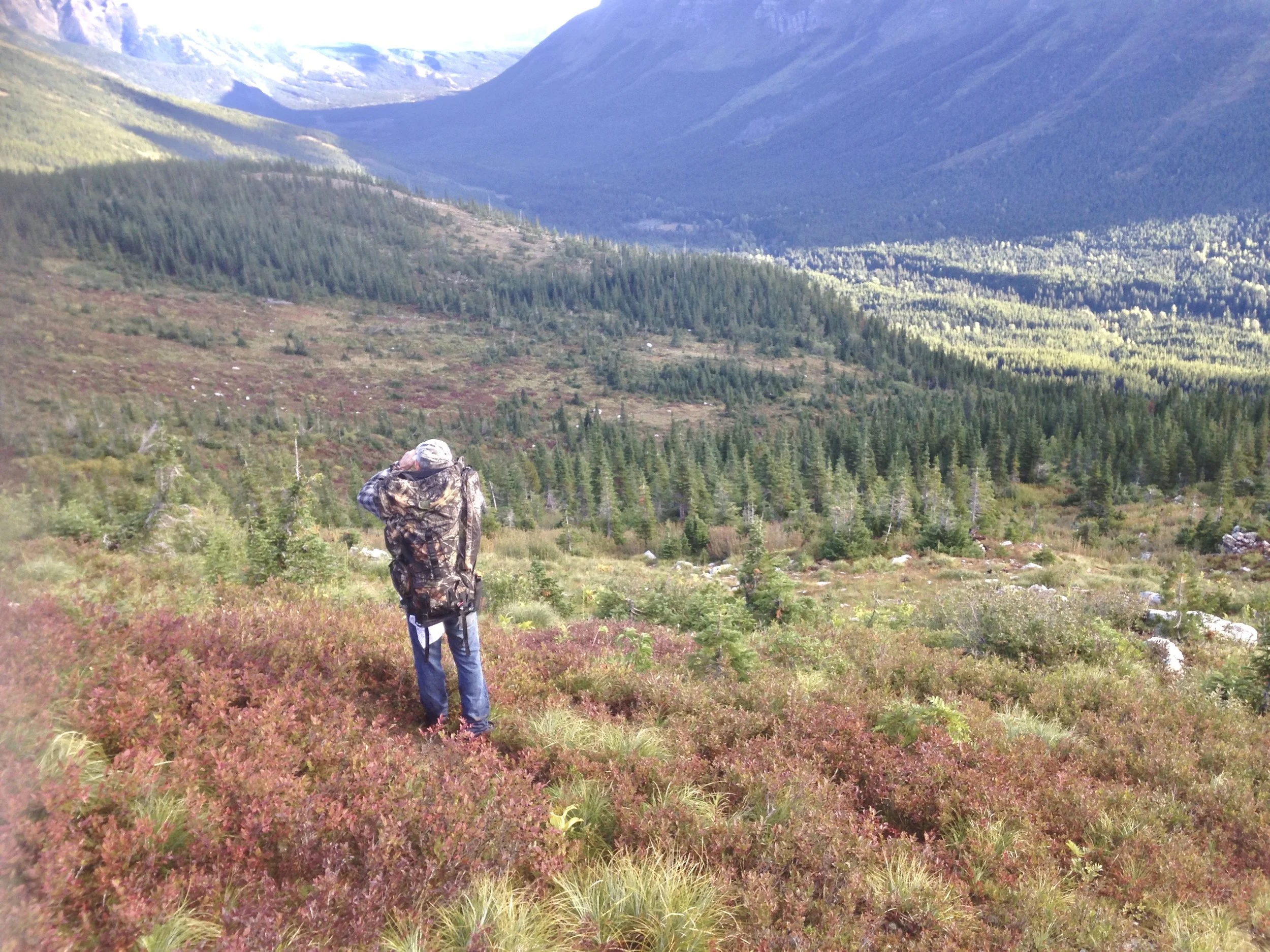 The berry basin that dad loved