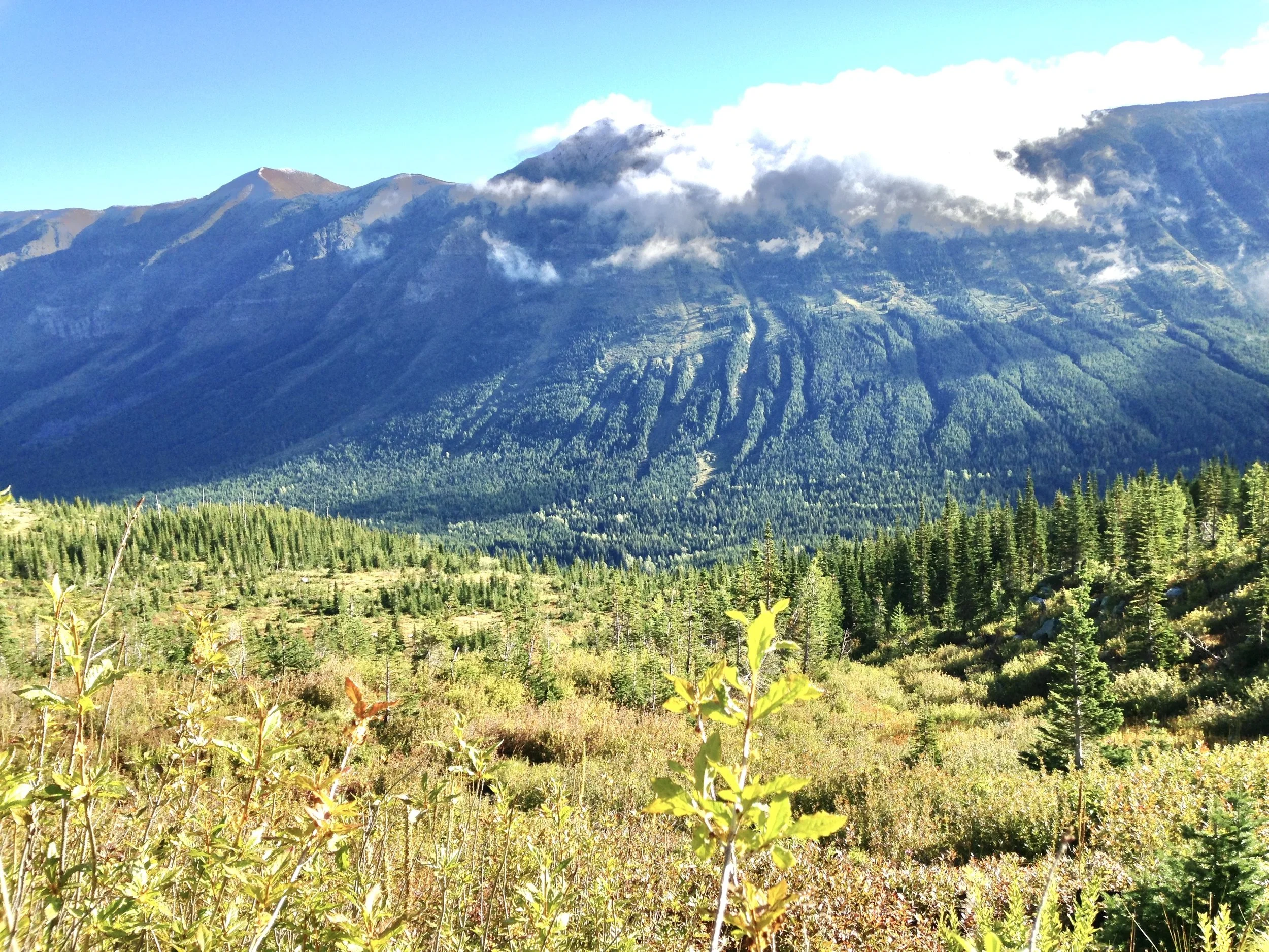 To the east of the patch, Barnaby Ridge