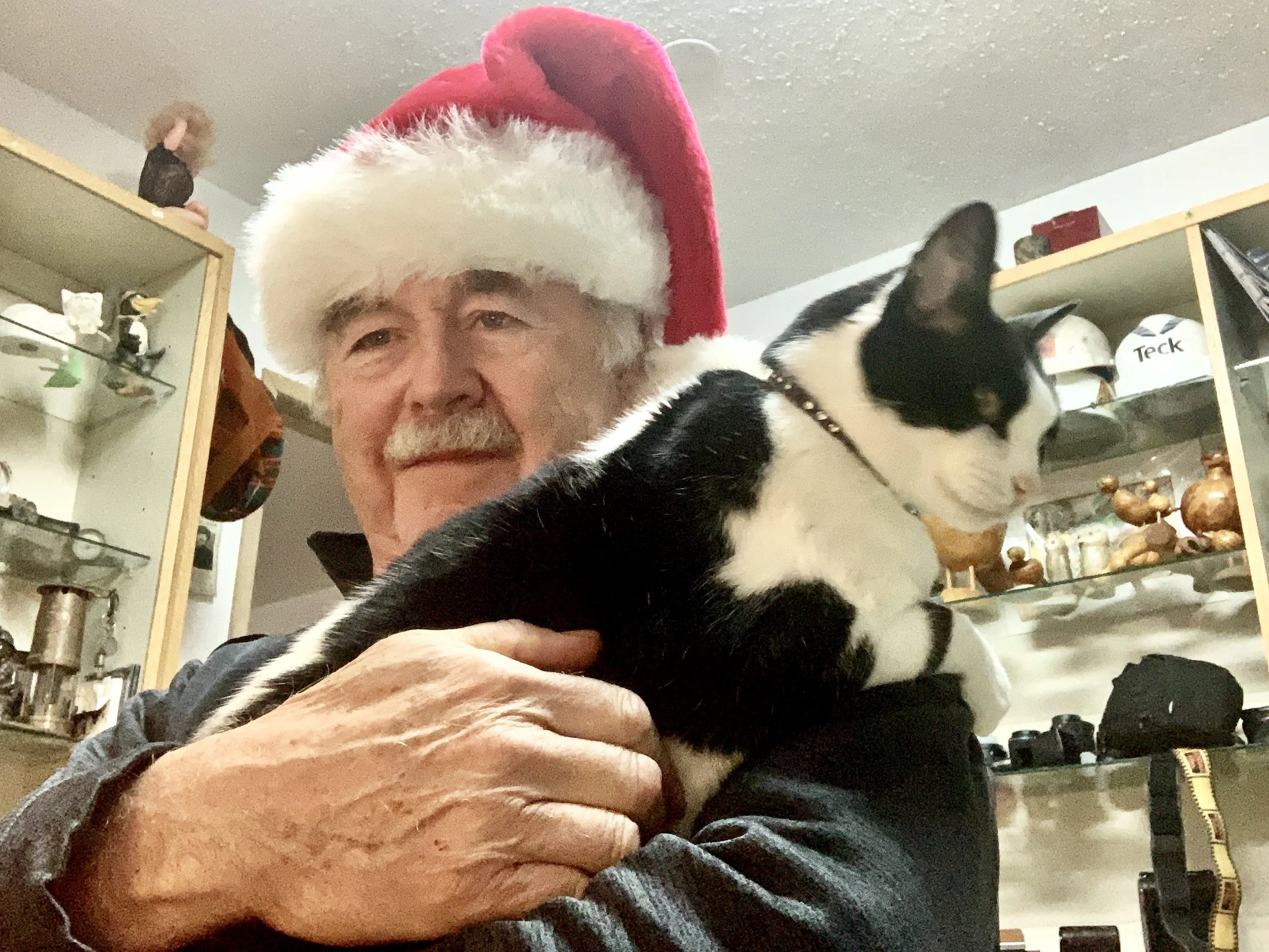 Looking Back: Turkey in the Craw(Or The Turkey’s Revenge)