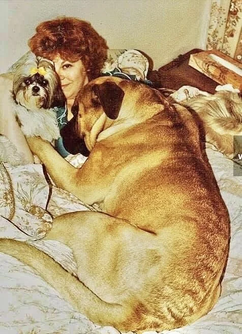 Max the groundhog finder, with Lorraine and Tinker Bell