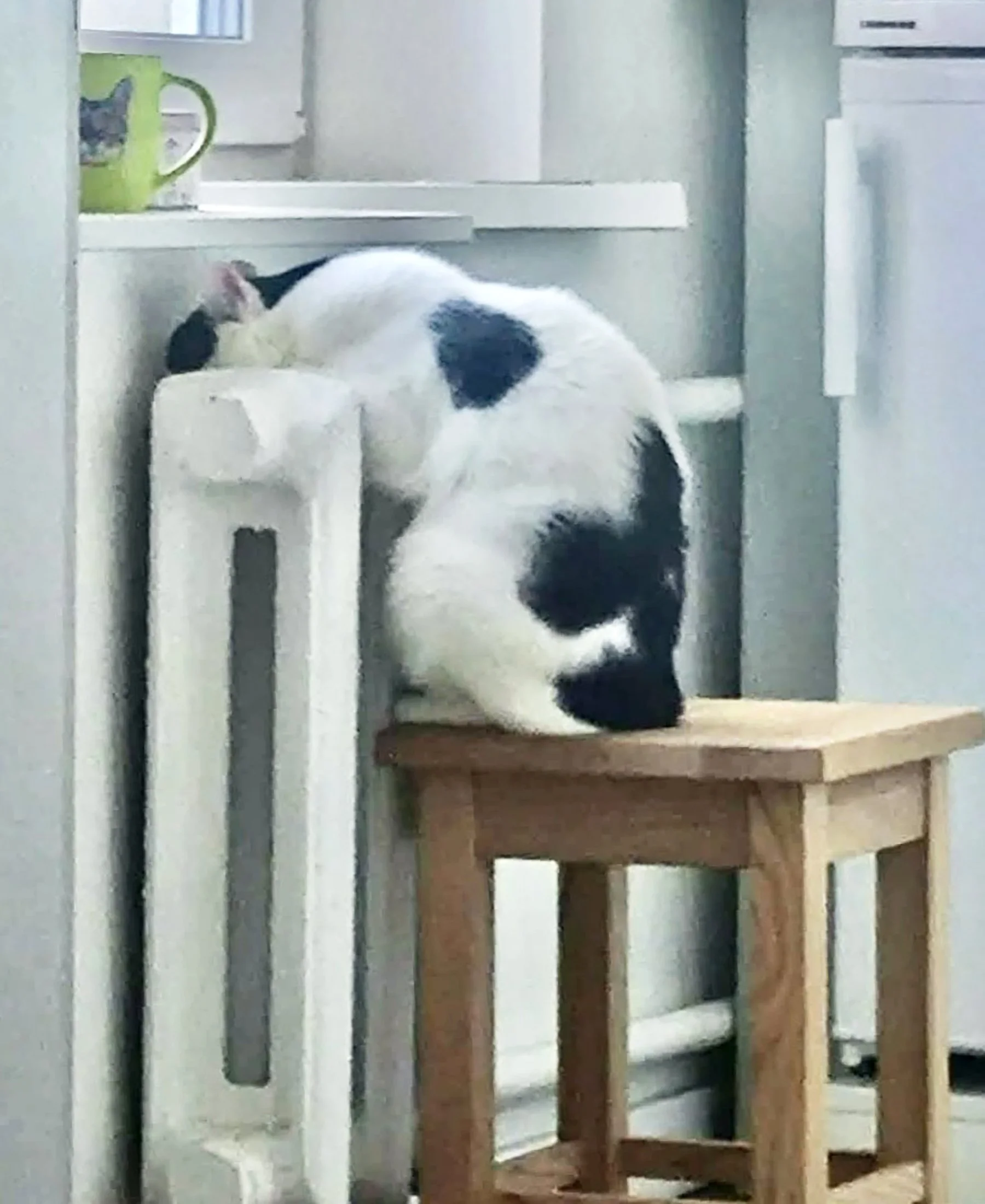 The rare warmth of a radiator
