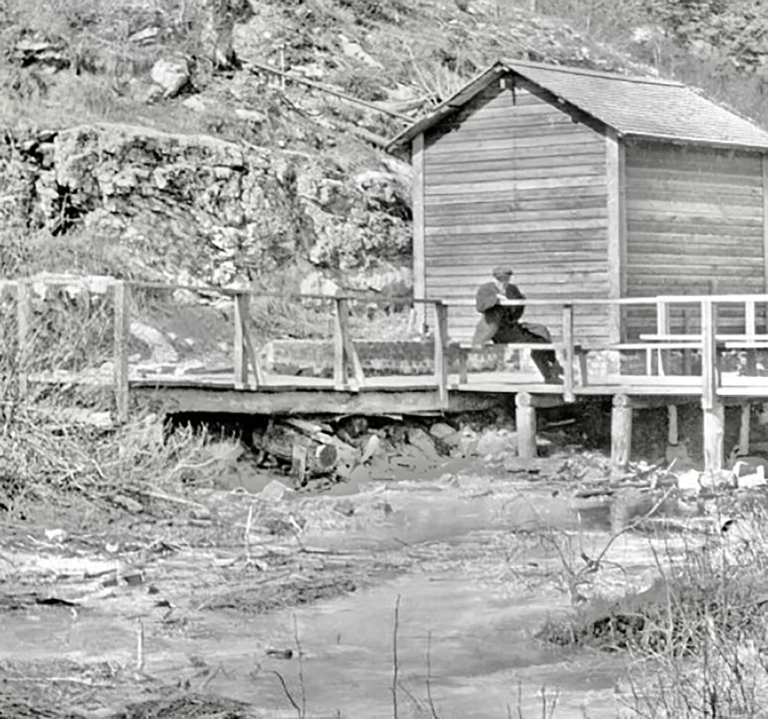 Looking Back: A Mini-World of&nbsp;Troglobites