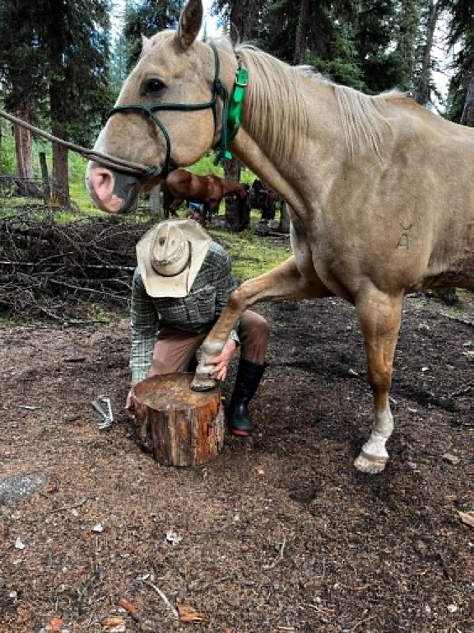  Aug 2025 Guy Travis replacing a lost shoe on his horse “Free”.  Photo credit Eric Muff.  
