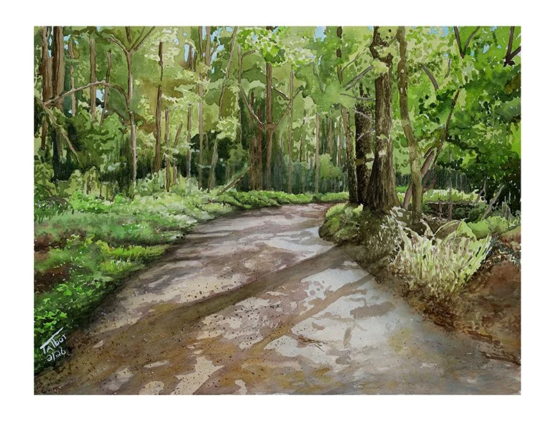 Gravel Road 6, St. Francisville.jpg