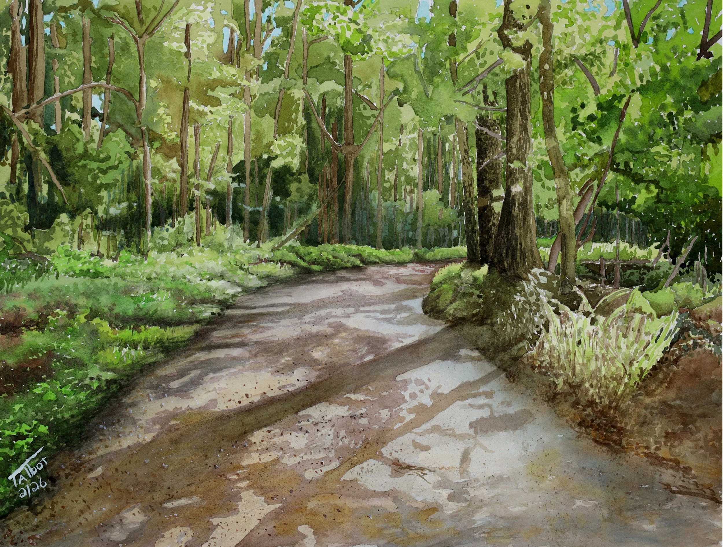 Gravel Road 6, St. Francisville, LA