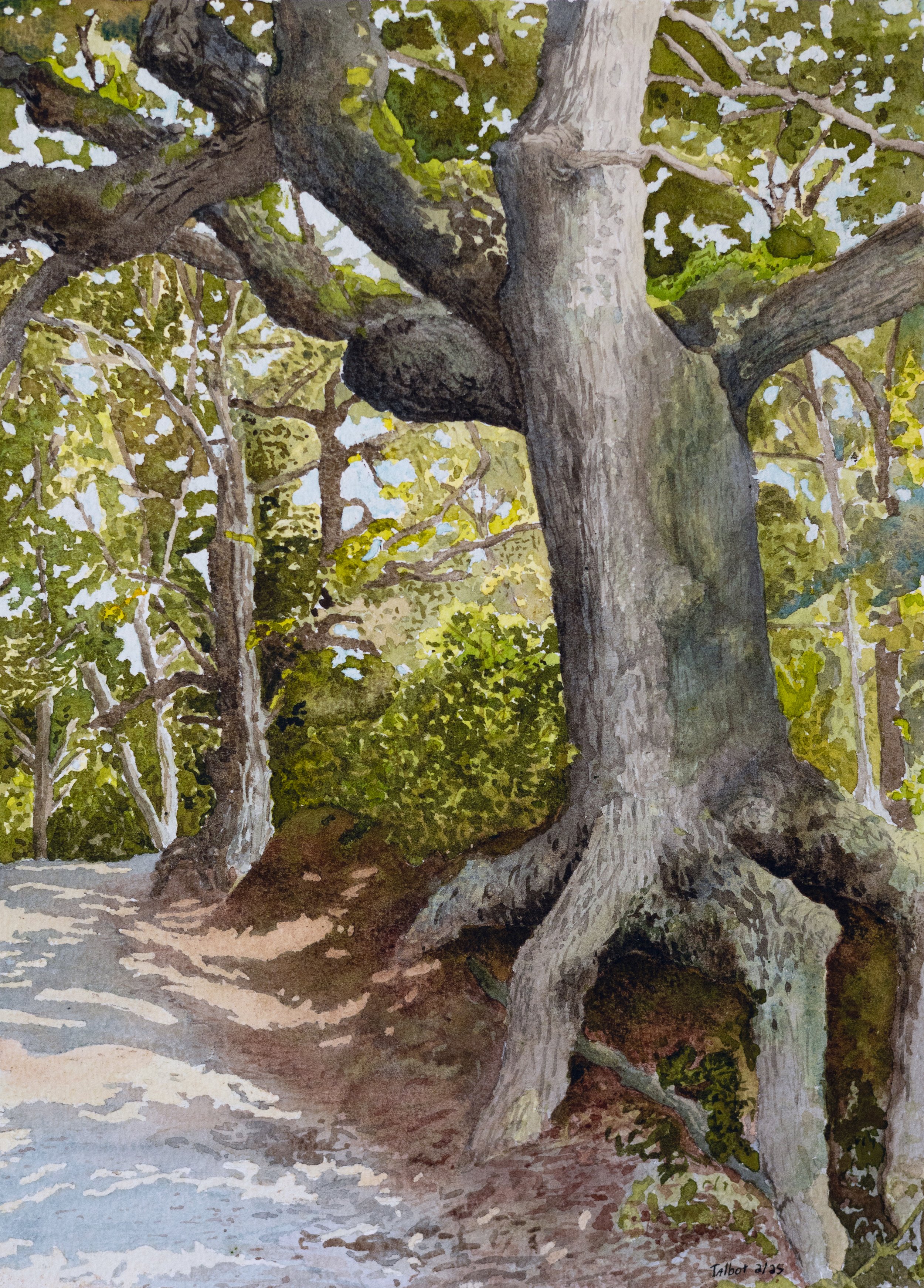 Gravel Road 3, St. Francisville, LA